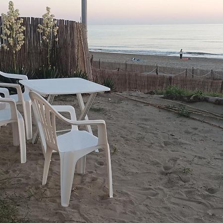 Apartament Casina Sulla Sabbia Torvaianica Zewnętrze zdjęcie