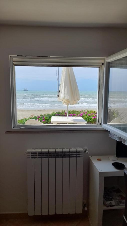 Apartament Casina Sulla Sabbia Torvaianica Zewnętrze zdjęcie