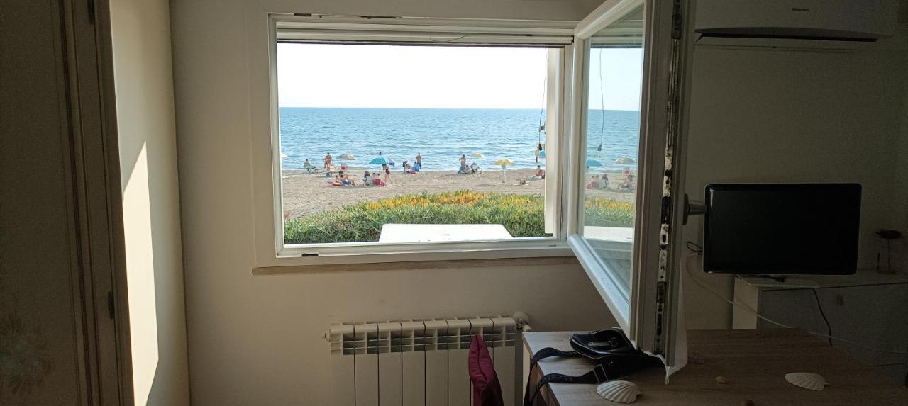 Apartament Casina Sulla Sabbia Torvaianica Zewnętrze zdjęcie
