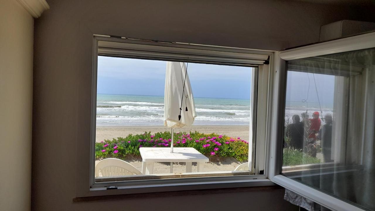 Apartament Casina Sulla Sabbia Torvaianica Zewnętrze zdjęcie